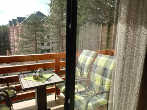 Apartman Nana, Zlatibor
